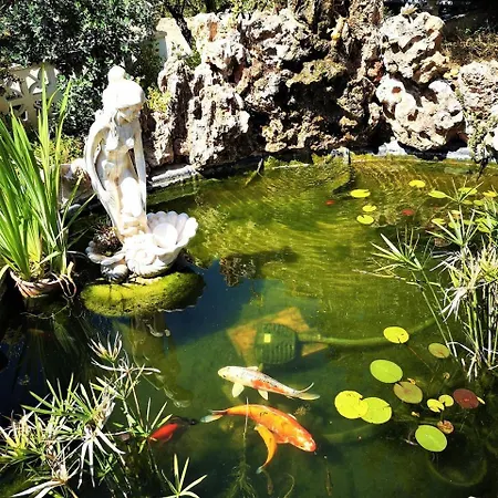 Homestay Casa Martinez & D'hotes A 3 Kms De Montserrat Valencia